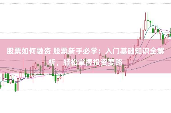 股票如何融资 股票新手必学：入门基础知识全解析，轻松掌握投资要略