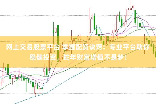 网上交易股票平台 掌握配资诀窍：专业平台助你稳健投资，蛇年财富增值不是梦！